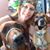 Heather Pomfret's profile image