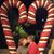 Silvia Huynh's profile image