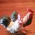Judi Kelsoe Moore's profile image