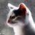Paul W. Faust's profile image