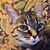 Cathy Ross-Garron's profile image