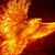 Tom A Sutor's profile image