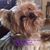 Kellie Van Daley Barnett's profile image