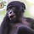 Jessie Jory's profile image