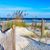 Marsha Herschell's profile image