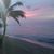 Elba Heredia Cartagena's profile image