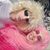 David Weisenthal's profile image