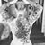 SSanchez SSherwin's profile image