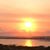 Linda Ray Nelson's profile image