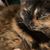 Cyndi Herberts's profile image