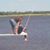 Crystal Blake Norton's profile image