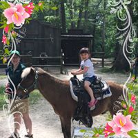 Tina Chan's profile image