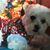 Shirley Chaffin's profile image