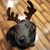Mark Turner's profile image