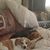 Leslie Stoll McKee's profile image