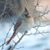 Carolyn A McLaughlin's profile image