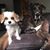 Kathy Sheufelt's profile image