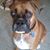 Gale Gordon Tuzik's profile image
