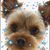 Trudy Mullins's profile image