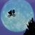 Cyndi Whitbeck's profile image