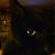 Diana Portwood's profile image
