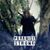 Lisa Palmer-Schoening's profile image