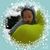 Hannah Williams's profile image