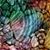 Lois J. Calato-Fazio's profile image