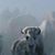 Mark Alan Andersen's profile image