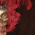 Irina Trofimova's profile image