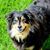 Michael J Dumm's profile image
