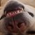 David Kochick's profile image