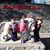 Felisia Schuster's profile image