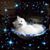 Debby Dotson Hagara's profile image