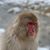 David Hunt's profile image