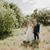 Shelbie Aufderheide's profile image