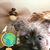 Linda DiLuzio's profile image