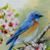 Laura Slosser's profile image