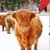 Martha Jane Brinker's profile image