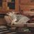 Debbie Bell's profile image