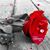 Irma Trinidad Narvaiz's profile image