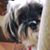 Joyce Kuhn's profile image