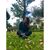 Xiomy Loja's profile image