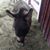 Terry Ellie Lydamore's profile image