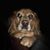 Genna Bonner's profile image
