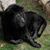 Dee Minnisota's profile image