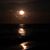 Pamela Knight's profile image