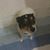 Robert Brown's profile image