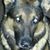 Ken Schweiger's profile image