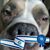 Richard Benjamin's profile image